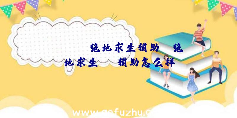 「ucbug绝地求生辅助」|绝地求生fix辅助怎么样